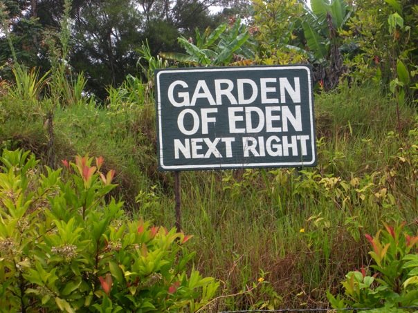 10426633_10203987597032937_4583364619234561240_n (1)